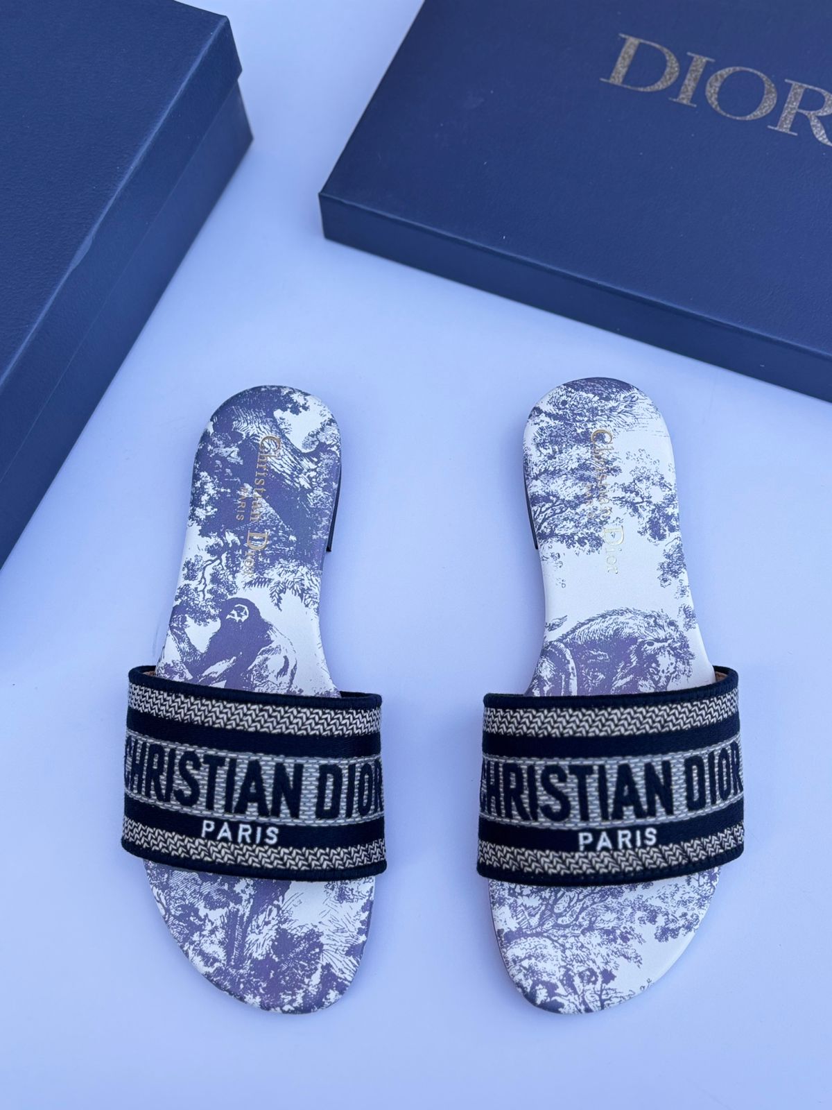 Christian Dior Dway Slide "Blue Toile"