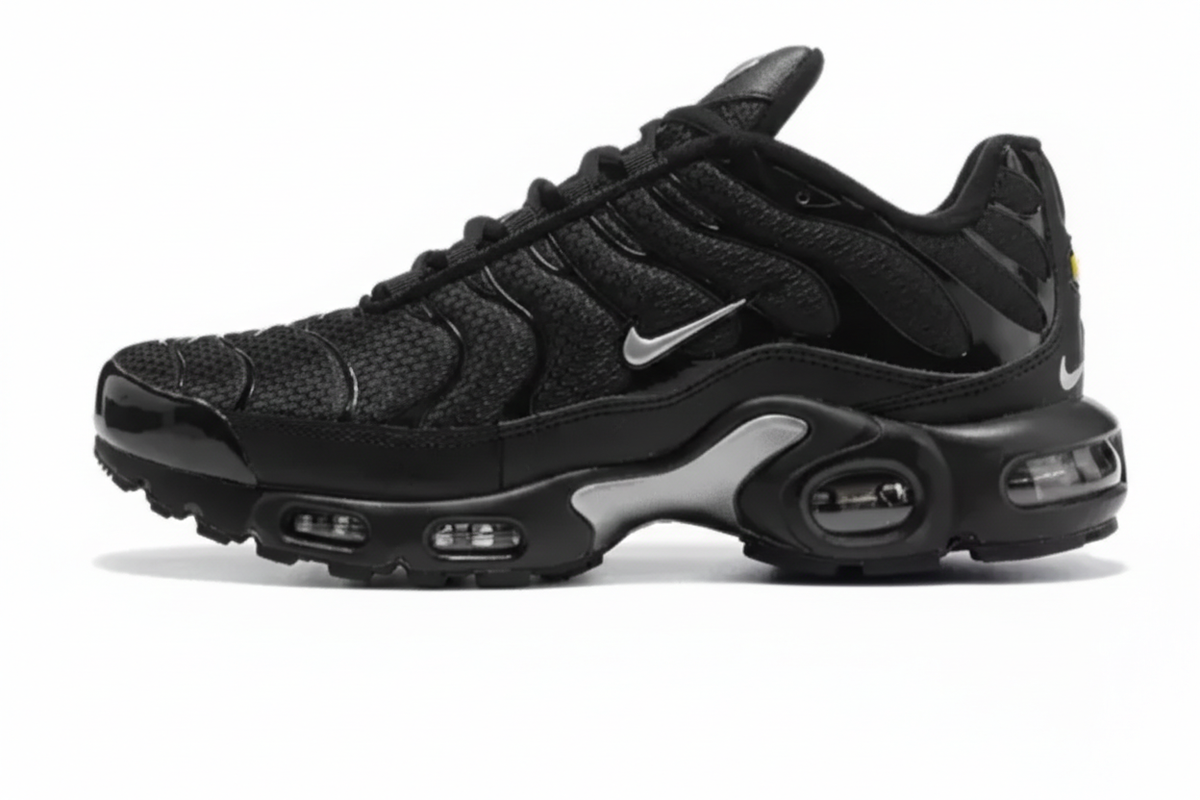 Nike Air Max Plus  “Black/Silver”