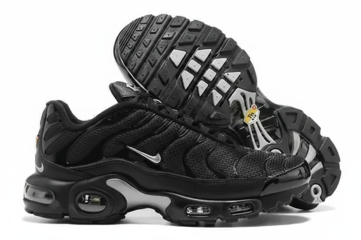 Nike Air Max Plus  “Black/Silver”